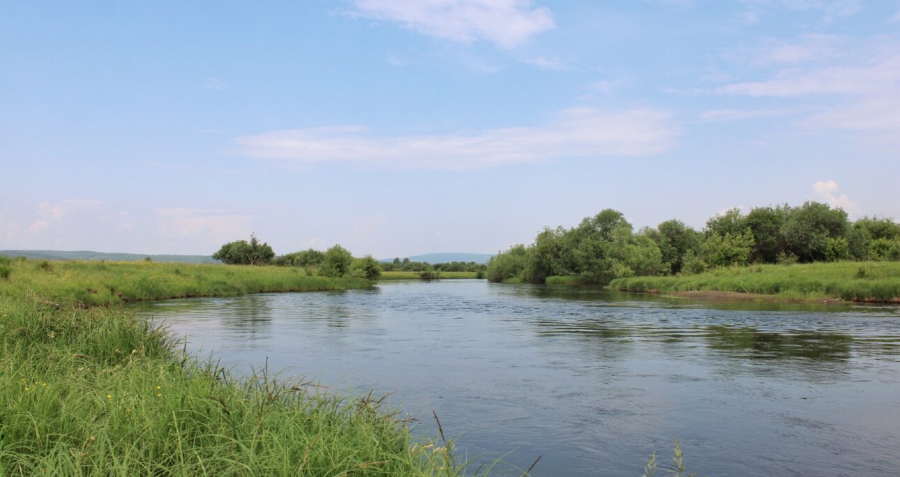 День реки Лены